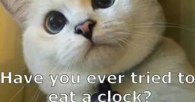  Have you ever tried to eat a clock?