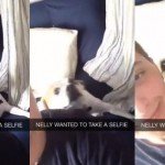 Nelly Wanted To Take A Selfie – Gif