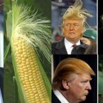14 Things That Look Like Donald Trump 