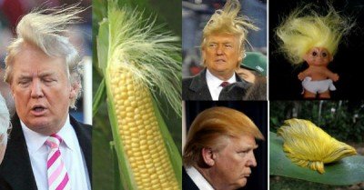 14 Things that look like Donald Trump  