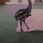 Baby Emu With Arms – Gif 