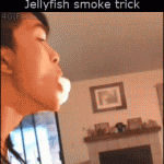 Jellyfish Smoke Trick – Gif 