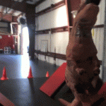 Inflatable T-Rex Costume Obstacle Course – Gif 