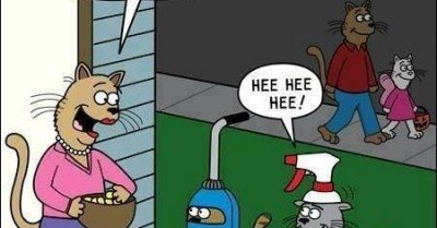   Cat Halloween comic