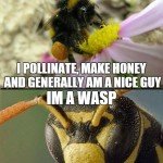Hello I’m A Bumble Bee 