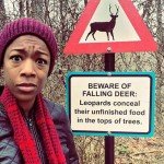 Beware Of Falling Deer 