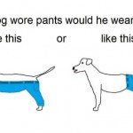 If A Dog Wore Pants…