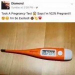 102 Percent Pregnant 