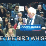Bernie The Bird Whisperer – Gif 